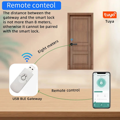 Smart Biometric Door Lock (Model K10-2) - MITANCO