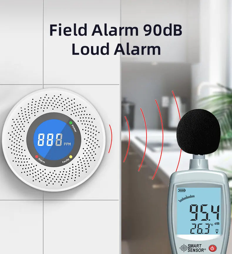 Standalone Carbon Monoxide Detector with Screen Display - MITANCO