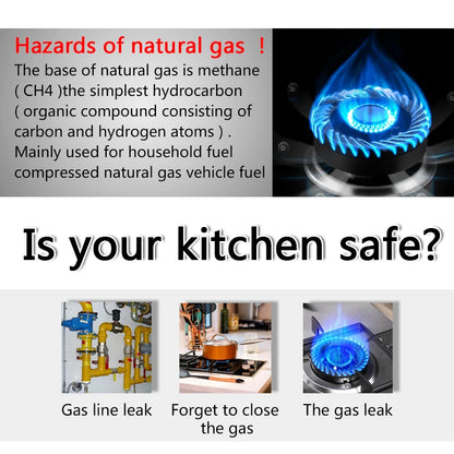 WI-FI Gas Leak Detector - MITANCO