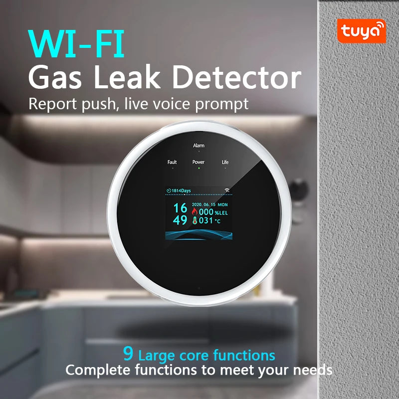 WI-FI Gas Leak Detector - MITANCO